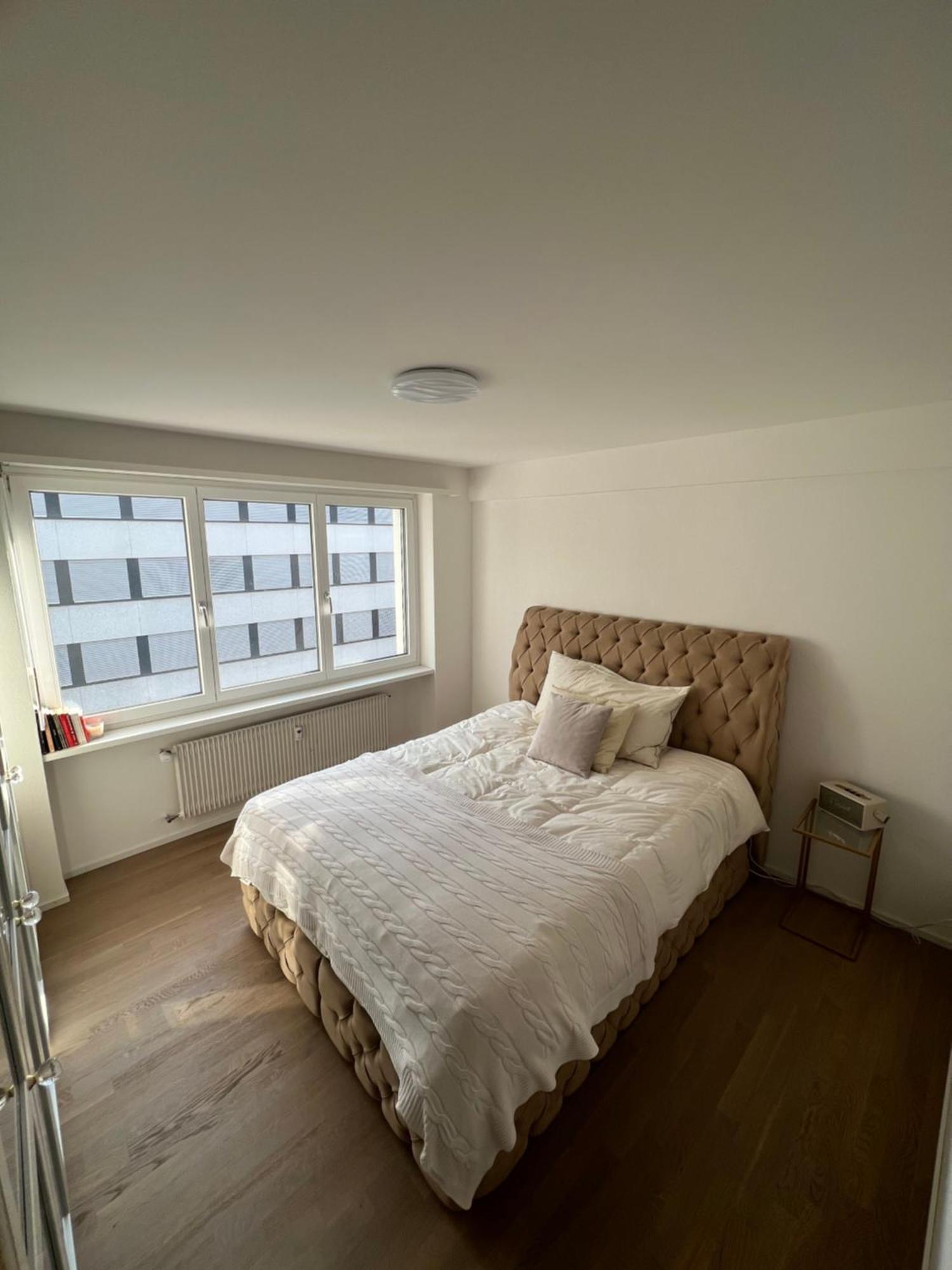 Best Located & Fully Equipped Apartment At Basel Sbb Main Station Buitenkant foto